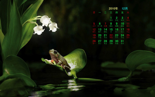 502054 (a): :1920x1200